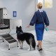 Kaufen Sie Edelstahlbadewanne für Hunde und Katzen, 127 x 58 x 151 cm, Hundepflegebadewanne für Haustiere bis 1270 mm, Pflegewanne, 150 kg Fassungsvermögen, mit Seifenbox, rechter Rampenhahn