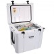 Buy 42.6L Portable Hard Cooler 40-45 Cans LLDPE Foam Insulated Airtight Plastic Cooler Box for Keeping Food Drinks Cold for Hiking Picnic Camping Travel, 55x41x47cm