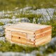 Comprar Kit de Colmena de Abejas de Madera 10 Marcos con Caja Profunda Madera de Cedro Recubierta de Cera de Abejas Base de Ventanas Acrílicas Transparentes para Apicultores Principiantes Profesionales