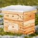 Comprar Colmena de Abejas 20 Marcos Madera de Cedro Recubierta de Cera de Abejas 1 Caja Profunda 1 Mediana Bases de Ventanas Acrílicas Transparentes para Apicultores Principiantes Profesionales