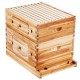 Comprar Colmena de Abejas 20 Marcos Madera de Cedro Recubierta de Cera de Abejas 1 Caja Profunda 1 Mediana Bases de Ventanas Acrílicas Transparentes para Apicultores Principiantes Profesionales