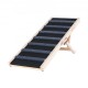 Buy Dog Ramp Length 1000mm Non-Slip Foldable Ramp for Small/Large Dogs Adjustable Height 6 Levels 38-56cm Suitable for Bed, Sofa, Car Access, Indoor, Outdoor