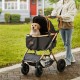 Kaufen Sie Hunde-Kinderwagen, 4 drehbare Räder mit Bremse, Haustier-Kinderwagen, Belastung 30 kg, Katzen-Kinderwagen, abnehmbare Stütze, Aufbewahrungskorb, Kissen für kleine/mittelgroße Hunde, Schwarz