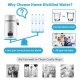 Buy Water Distiller 4L Distillation Filter 750W 1L/H Speed Adjustment, Distillation Filter Purifier 7.9 lbs Stainless Steel with Double Screen, White