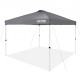 Buy Pop Up Gazebo Tent 120x120 Inch Gazebo Canopy 250D PU Silver Coated Fabric Carbon Steel Frame with Wheeled Bag 4 Sandbags for Outdoor, Garden, Camping, Grey