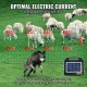 Comprar Kit de red para cerca eléctrica, cerca de red de PE de 1,27x49,98 m con postes de estaca de doble púa, malla utilitaria portátil para cabras, ovejas, corderos, ciervos, cerdos, perros, granjas