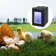 Koop 25L Incubator voor reptieleneieren Zwarte incubator voor reptieleneieren 5-60°C Wetenschappelijke incubator Hatcher Verwarming LED-display voor kleine reptielen