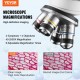 Buy 40X-2500X Biological Compound Microscope with 2-Layer Stage Biology