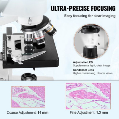 VEVOR Microscopio Compuesto Trinocular Microscopio Biológico 40X-5000X Enfoque Fino y Grueso de Precisión con Interfaz de Etapa 2 Capas para Computadora o Monitor Externo Investigación Educativa