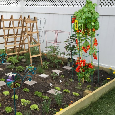 VEVOR Jaulas para tomates Jaula de soporte para plantas Paquete de 5 jaulas cuadradas de acero 3.8 pies Verde para jardín