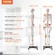 Comprar Modelo Anatómico de Esqueleto Humano Anatómico de 182 cm de Alto con Marcado Muscular Modelo de Enseñanza Detallado de PVC con Soporte Estable de Acero Inoxidable Investigación en Medicina