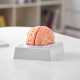 Comprar Modelo de Cerebro Humano en 9 PCS Desmontables Modelo Anatómico de Cerebro de Tamaño Natural de PVC con Base de Exhibición para Enseñanza Formación Presentación Neurociencia Escuelas Hospitales