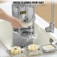 Buy Professional Manual French Fry Cutter Vegetable Cutter 4 Stainless Steel Blades 6.4/9.5mm 1 6-Quart Cutter and 1 Apple Cutter Fruit Cutter 4 Blades