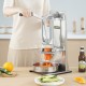 Buy Professional Manual French Fry Cutter Vegetable Cutter 4 Stainless Steel Blades 6.4/9.5mm 1 6-Quart Cutter and 1 Apple Cutter Fruit Cutter 4 Blades