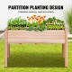 Buy Raised Garden Bed with Fir Wood 120x58x76cm for Flowers Vegetables