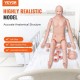 Comprar Maniquí de Enfermería de Hombre Mujer Maniquí de Cuidado del Paciente 175 cm PVC Maniquí de Entrenamiento de Enfermera Simulación Realista para Enseñanza Formación Médica de Hospital Instituto