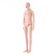 Comprar Maniquí de Enfermería de Hombre Mujer Maniquí de Cuidado del Paciente 175 cm PVC Maniquí de Entrenamiento de Enfermera Simulación Realista para Enseñanza Formación Médica de Hospital Instituto