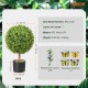 Comprar Planta artificial de árbol topiario de 2 pies con hojas reemplazables para decoración del hogar