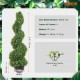 Buy Artificial Boxwood Topiary 122cm Artificial Boxwood Spiral 2 PE Fake Plants 10 Replaceable Leaves with Odorless Pot for Outdoor Indoor Garden Patio Balcony Entrance Decoration