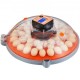 Comprar Incubadora de huevos incubadoras para huevos para incubar, giro automático de huevos, 48 huevos