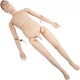 Comprar Maniquí de Enfermería de Tamaño Natural 170x40x20 cm PVC Formación de Enfermería Maniquí Multifuncional Demostración Humano Entrenamiento de Maniquí para Educación Médico Suministros, Masculino