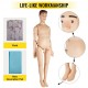 Buy Life Size Nursing Manikin 170x40x20cm PVC Nursing Training Manikin Multifunctional Demonstration Human Training Manikin for Medical Education Supplies, Male