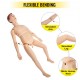 Buy Life Size Nursing Manikin 170x40x20cm PVC Nursing Training Manikin Multifunctional Demonstration Human Training Manikin for Medical Education Supplies, Male