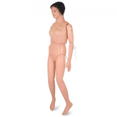 Modelo de Enseñanza Mujer, Intubación Estudio de Maniquí, 12KG Capacitación, Atención Laboratorio Flexible, 26 Tipos Enfermería de Maniquí PVC 116 x 45 x 27 cm Educación Modelo de Enseñanza