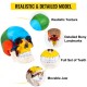 Buy Human Skull Model 8 Parts Anatomical Skull Model 1:1 PVC