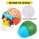 Buy Human Skull Model 8 Parts Anatomical Skull Model 1:1 PVC