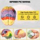 Buy Human Brain Model 4 Pcs Medical Anatomical Human Brain Model PVC