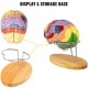 Buy Human Brain Model 4 Pcs Medical Anatomical Human Brain Model PVC