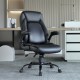 Buy Executive Office Chair Comfortable Office Chair Lumbar Support