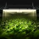 Buy LED Grow Light Plant 150W Quantum Full Spectrum Panel High Output Waterproof IP65 PPFD Samsung 281B Diodes for Indoor Grow Tents Veg Plants Flower