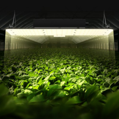 Planta de Crecimiento de Lámpara LED 200 W Quantum Panel de Espectro Completo de Alto Rendimiento a Prueba de Agua IP65 PPFD Samsung 281B Diodos para Interior Crecer Carpas Verduras Plantas Flor