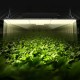 Buy LED Grow Light Plant 200W Quantum Full Spectrum Panel High Output Waterproof IP65 PPFD Samsung 281B Diodes for Indoor Grow Tents Veg Plants Flower