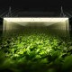 Buy LED Grow Light Plant 300W Quantum Full Spectrum Panel High Output Waterproof IP65 PPFD Samsung 281B Diodes for Indoor Grow Tents Veg Plants Flower