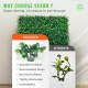 Buy 12 Pcs 20" x 20" Artificial Green Grass, High Density UV Resistant 100% PE Artificial Ivy Boxwood Panels, Decorative Artificial Plants for Wall, Gardens, Backyard