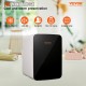 Buy Mini Fridge Small Cosmetic Refrigerator 10 L Mini Portable Refrigerator Cold and Heat Mode Temperature 18 ° C / 50 ° C Refrigerator