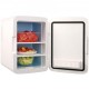 Buy Mini Fridge Small Cosmetic Refrigerator 10 L Mini Portable Refrigerator Cold and Heat Mode Temperature 18 ° C / 50 ° C Refrigerator