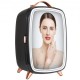 Buy Mini Fridge Small Cosmetic Refrigerator 6L 8 Cans 330ml Mini Portable Refrigerator with HD Mirror and LED Light Temperature of 15 °C