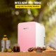 Buy Mini Fridge Small Portable 220V/12V 48W 10L Mini Compact Refrigerator 26x25x35cm Pink Portable Mini Refrigerator with Cold and Heat Function for Makeup Skin Care ABS Material Car