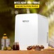 Buy Mini Fridge Small Portable 220V/12V 48W 10L Mini Compact Refrigerator 26x25x35cm White Portable Mini Refrigerator with Cold Heat Function for Makeup Skin Care ABS Material Car