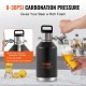 Buy Mini Beer Keg Portable 128Oz 4L Mini Keg Adjustable Pressure 0~30PSI Stainless Steel Pressure Insulated Tap System to Keep Beer Carbonated Fresh for Camping Picnic