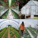 Buy Polyethylene Greenhouse Film, Dimension 4.9 x 7.6m Clear Plastic Greenhouse, Thickness 0.15mm Antifreeze Cloth for Plants, Easy DIY for Agriculture