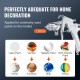 Buy Paint Gun with 2L Portable Tank Paint Pressure Can 6.4mm Air Inlet 9.5mm Outlet 1.8mm Paint Nozzle Max Pressure 45 PSI for Interior Decoration