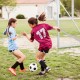 Comprar Portería de Fútbol Portátil 1 Pieza 371 x 121,5 x 183 cm Portería de Fútbol para Exteriores de Alta Calidad para Adultos y Niños Porterías de Fútbol para Entrenamiento en Patio, Jardín, Estadio