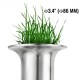 Buy Stainless Steel Manual Juicer Wheatgrass Extractor Silver Portable Orange Juicer with Rubber Filler Juicer for Berries