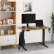 Buy Adjustable Height Standing Desk 0.72-1.1m Lift Table 1.2 x 0.6m Desk Electric Standing Desk 15.4mm/s Lift Metal Frame 82kg Load for Home Office