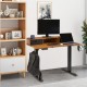 Buy Adjustable Height Standing Desk 0.72-1.1m 2-Layer Lift Table 1.2 x 0.6m Electric Standing Desk 15.4mm/s Lift Metal Frame 82kg Load for Home Office